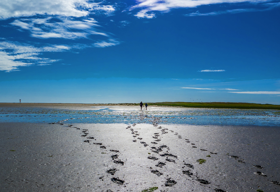 Eine Wattwanderung gehört zum Ostfriesland-Urlaub einfach dazu.