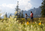 Im Salzburger Land genießen Sie einzigartige Naturerlebnisse!