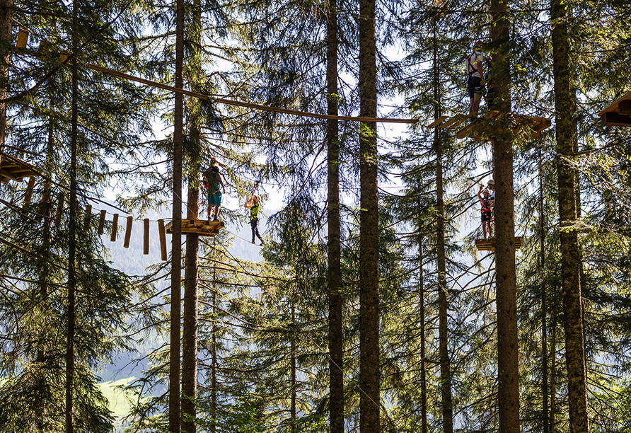 Steigen Sie im nahegelegenen Hochseilgarten in die grünen Baumkronen.