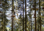 Steigen Sie im nahegelegenen Hochseilgarten in die grünen Baumkronen.