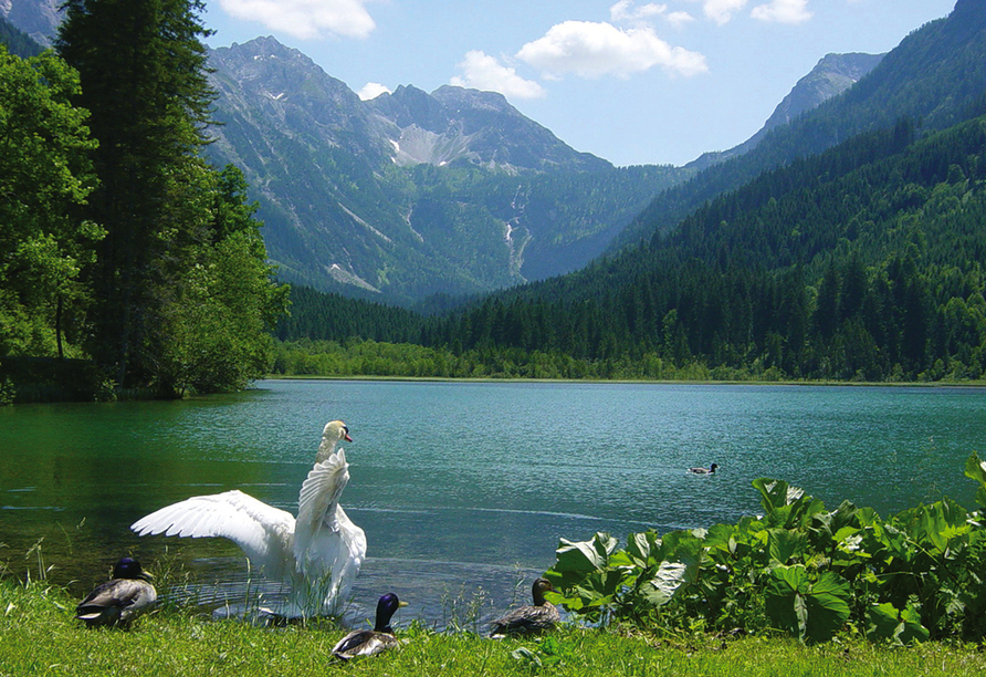 Der idyllische Jägersee lockt zu einem erfrischenden Ausflug.