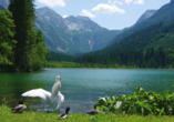 Der idyllische Jägersee lockt zu einem erfrischenden Ausflug.