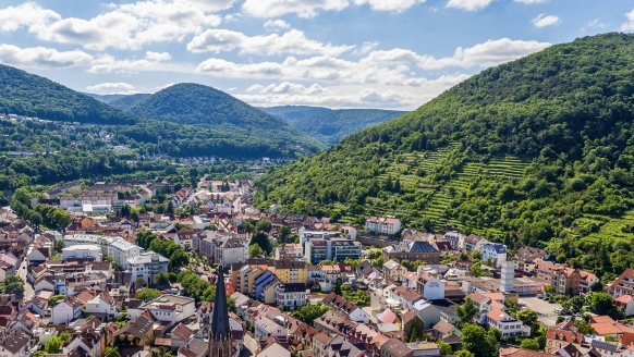 Hotel Palatina in Neustadt an der Weinstraße, Ausblick