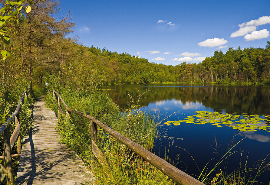 Der Müritzer Nationalpark begeistert mit seiner tollen Landschaft.