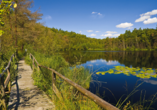 Der Müritzer Nationalpark begeistert mit seiner tollen Landschaft.