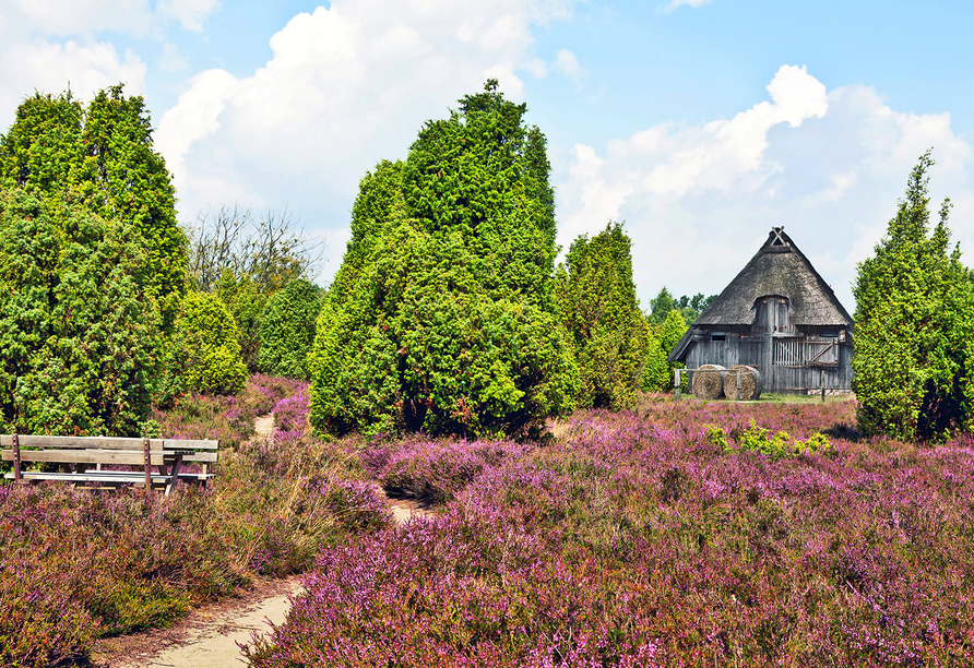 Erkunden Sie die schöne Lüneburger Heide – es lohnt sich.