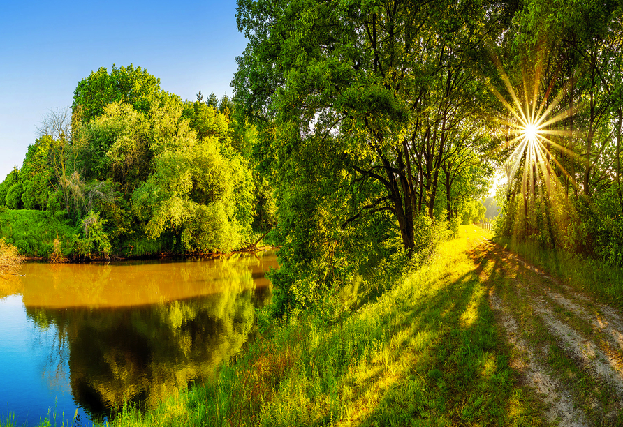 Spazieren Sie durch die ruhige und weite Natur des Emslandes.