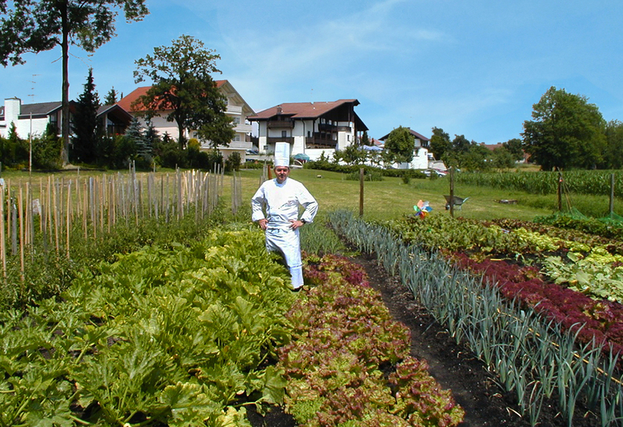 Bunter Gemüsegarten im Hotel Würdinger Hof