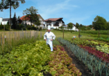 Bunter Gemüsegarten im Hotel Würdinger Hof