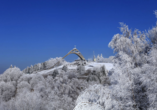 Besuchen Sie im Winter die St. Georg Sprungschanze.