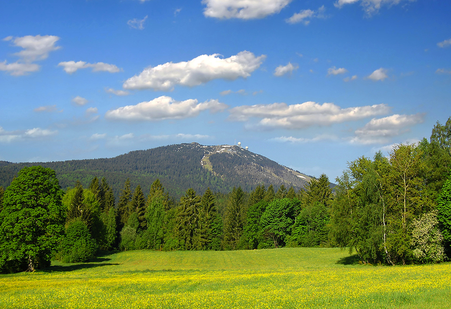 Bayerischer Wald