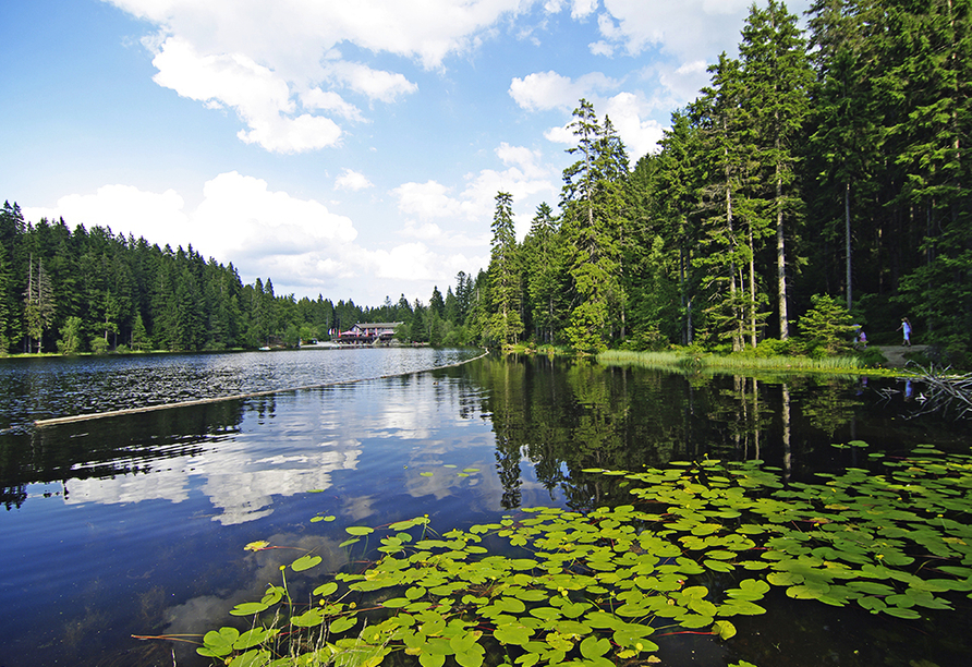 Ausflugsziel Großer Arbersee 