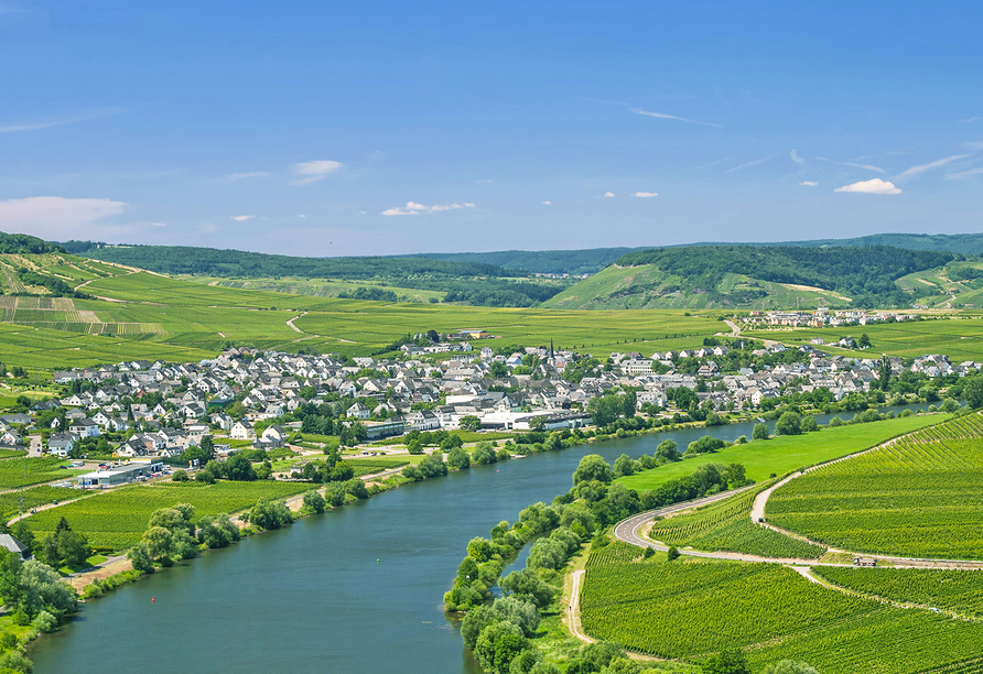 Leiwen an der Mosel