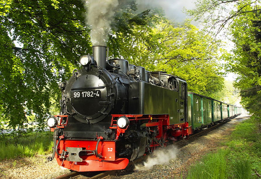 Steigen Sie in die dampflokbetriebene Schmalspureisenbahn ein.