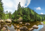 Erkunden Sie den malerischen Harz auf eigene Faust.