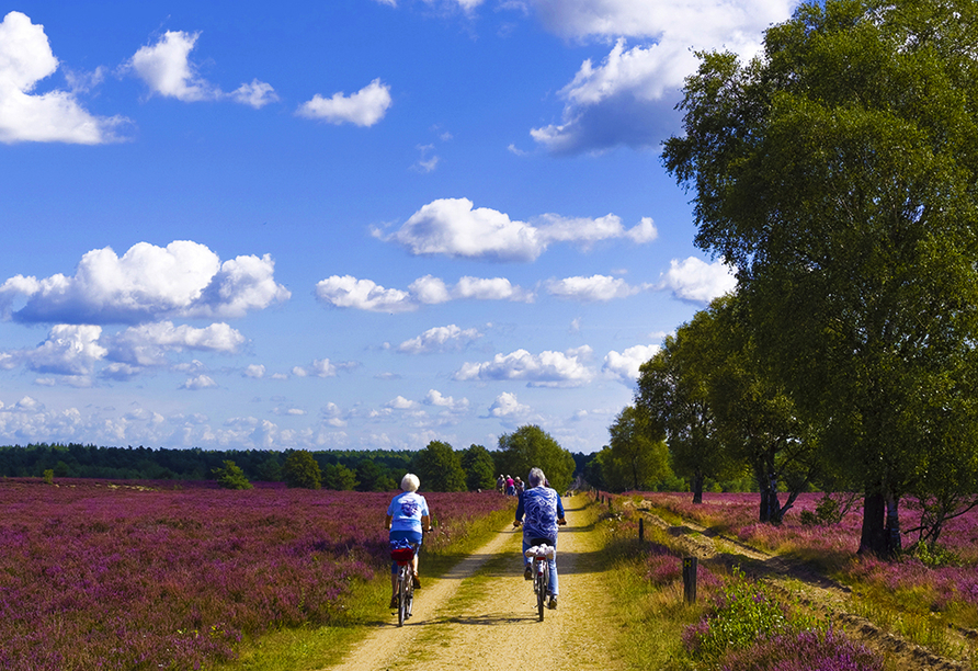 Eine Radtour in der Lüneburger Heide lohnt sich.