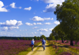 Eine Radtour in der Lüneburger Heide lohnt sich.