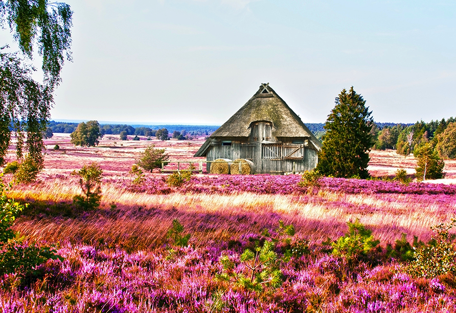 Das Haus im Erikafeld verzaubert einfach jeden.