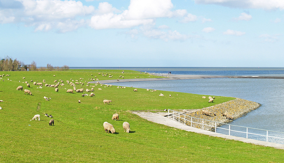 Nordseehotel Wilhelmshaven, Jadebusen