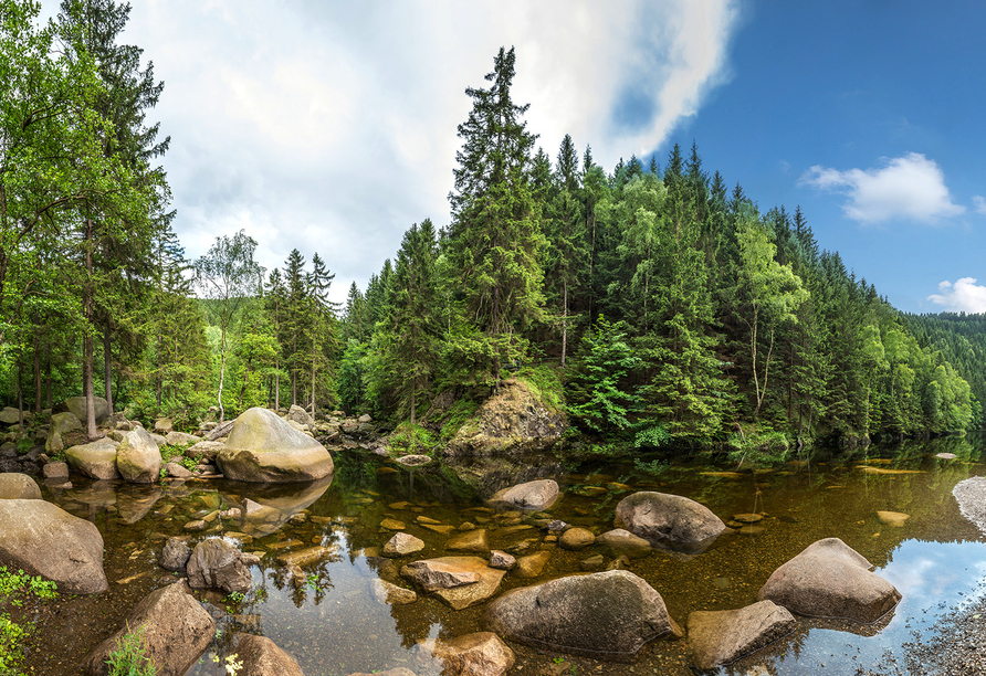 Erleben Sie die traumhafte Landschaft des Harzes.