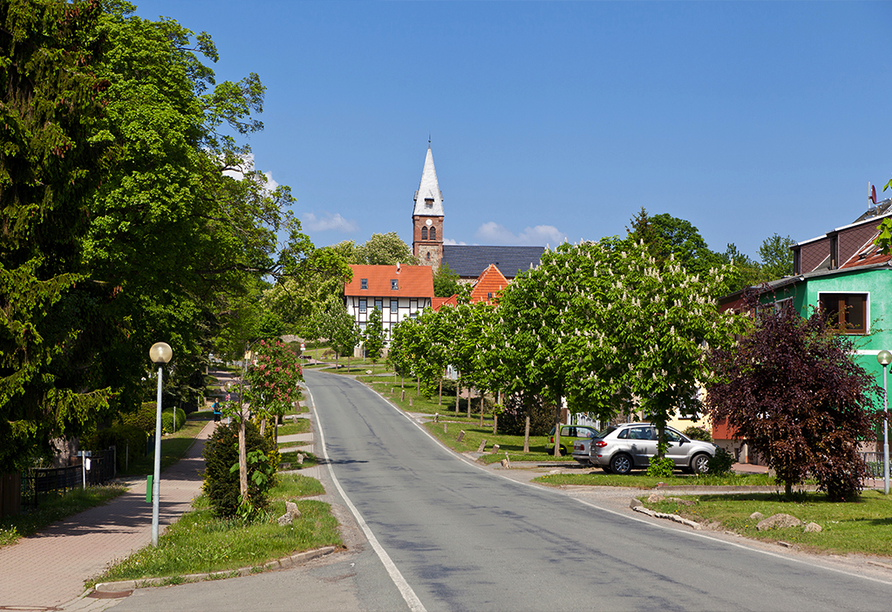 Genießen Sie den Blick auf Ihren Urlaubsort Friedrichsbrunn.