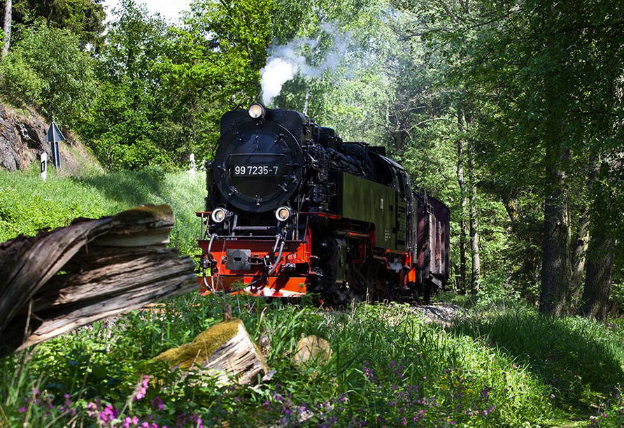 Die bekannte Selketalbahn ist ein tolles Fotomotiv.