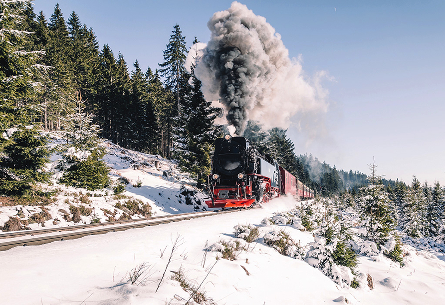 Auch im Winter ist der Harz ein tolles Reiseziel.