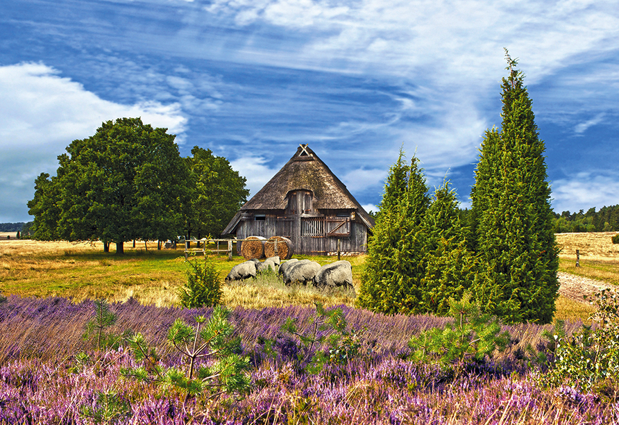 Ringhotel Fährhaus in Bad Bevensen, Landschaft