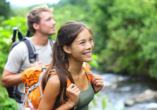 Gehen Sie auf Erkundungstour durch den Teutoburger Wald.