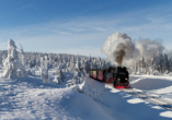 Die Brockenbahn ermöglicht Ihnen einen bequemen Aufstieg auf den Gipfel des höchsten Berges vom Mittelgebirge Harz.