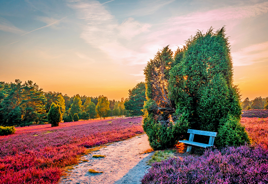 Lüneburger Heide