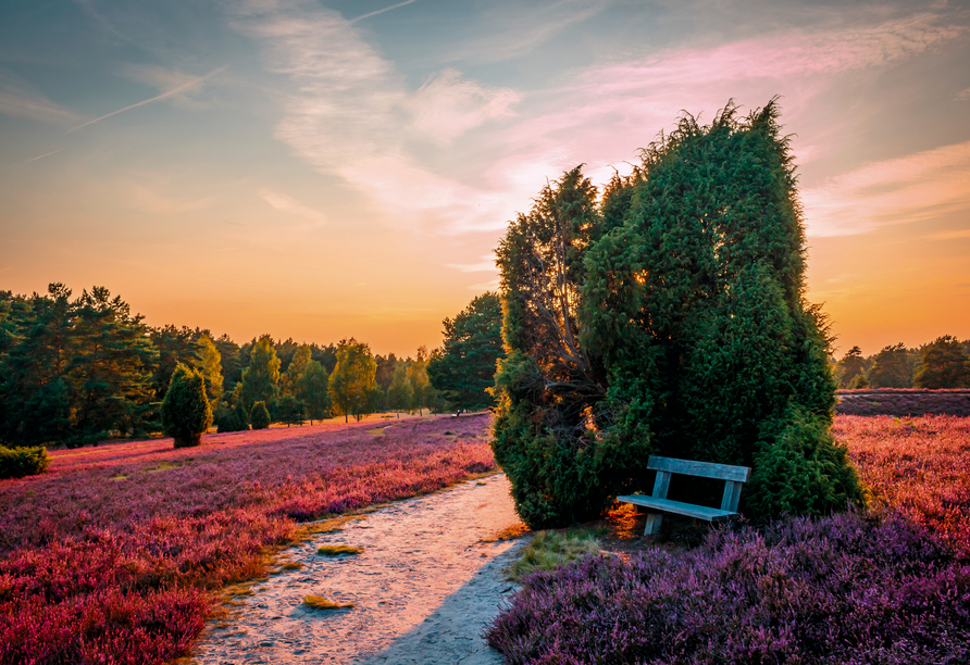 Machen Sie sich selbst ein Bild von der Traumlandschaft in der Lüneburger Heide!