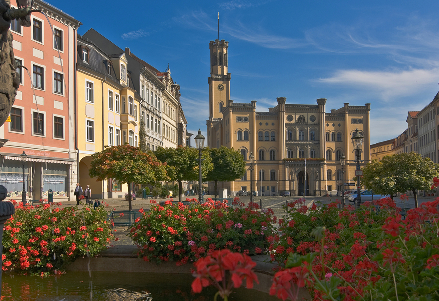 Herzlich willkommen in Zittau. Schlendern Sie über den Marktplatz.