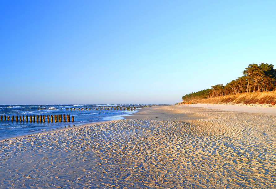 Genießen Sie die Idylle an den Stränden der polnischen Ostsee.