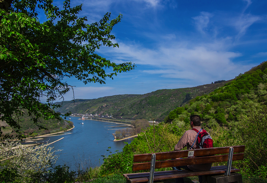 Hotel Rheinlust, Boppard, Rheinsteig