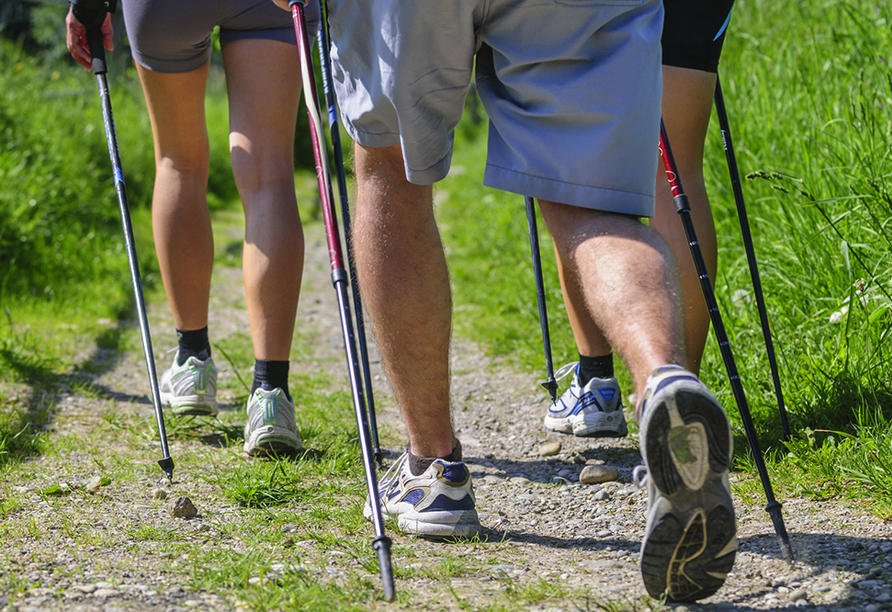 Im Bäderdreieck gibt es zahlreiche Nordic-Walking-Routen.