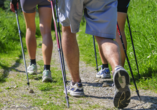 Im Bäderdreieck gibt es zahlreiche Nordic-Walking-Routen.