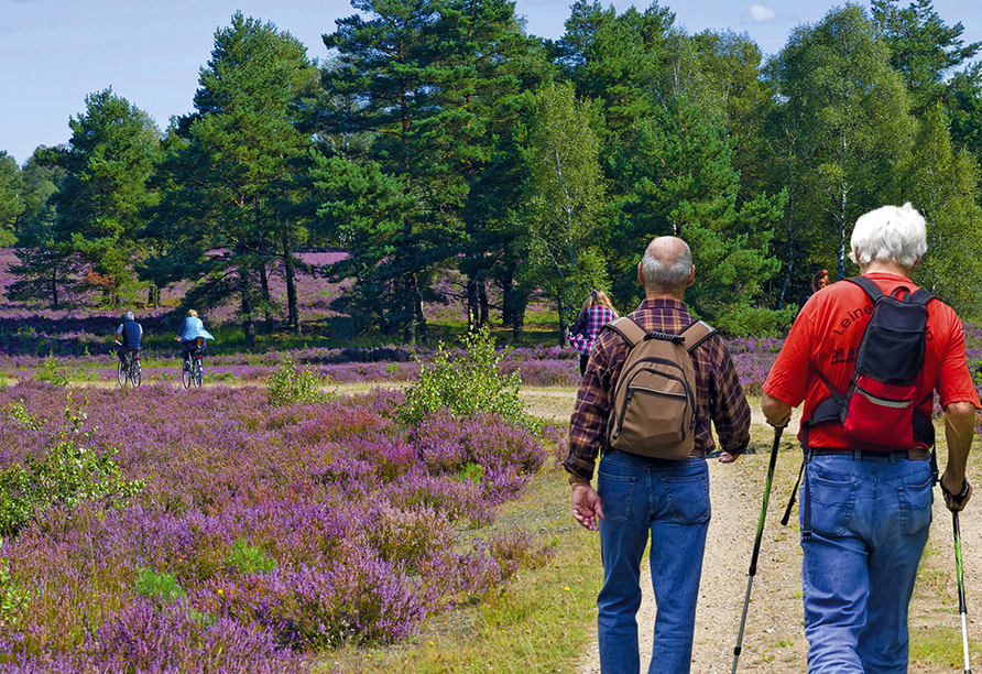 Wandern und radeln Sie durch die traumhafte Lüneburger Heide.