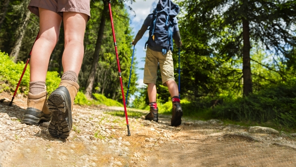 Unternehmen Sie Wanderausflüge im Bayerischen Wald.