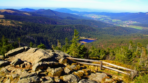 Genießen Sie einzigartige Aussichten über den herrlichen Bayerischen Wald.