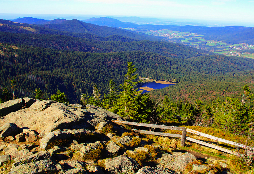 Genießen Sie einzigartige Aussichten über den herrlichen Bayerischen Wald.