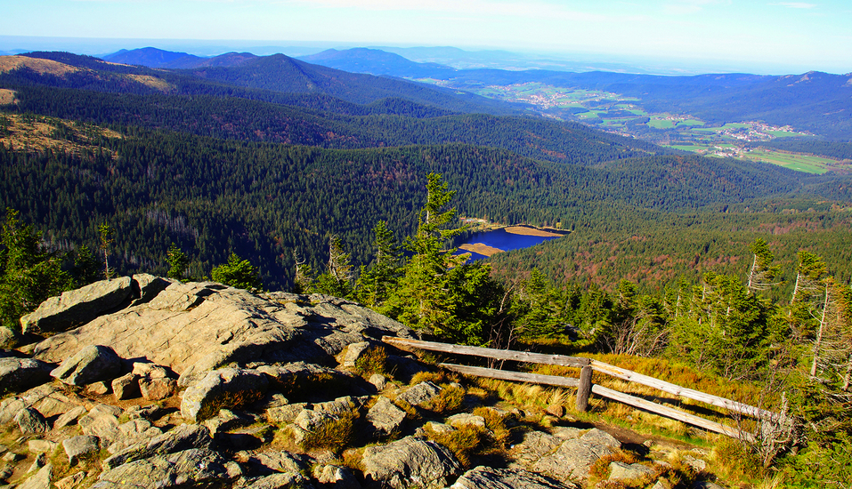 Genießen Sie einzigartige Aussichten über den herrlichen Bayerischen Wald.