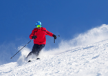 Entdecken Sie im Winter die Abfahrten der Skigebiete Hohenbogen und Arber.