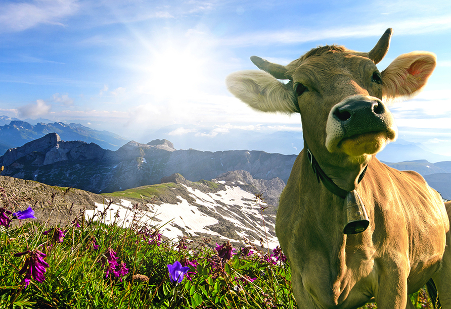 Genießen Sie Idylle pur im malerischen Graubünden.