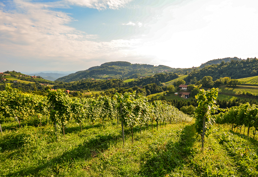 Herzlich willkommen in der Urlaubsregion Deutsche Weinstraße!