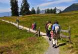 Entdecken Sie die traumhafte Natur bei einer Wanderung.