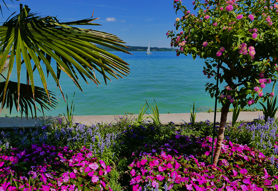 Die Blütenpracht auf der traumhaften Insel Mainau wird Sie verzaubern.