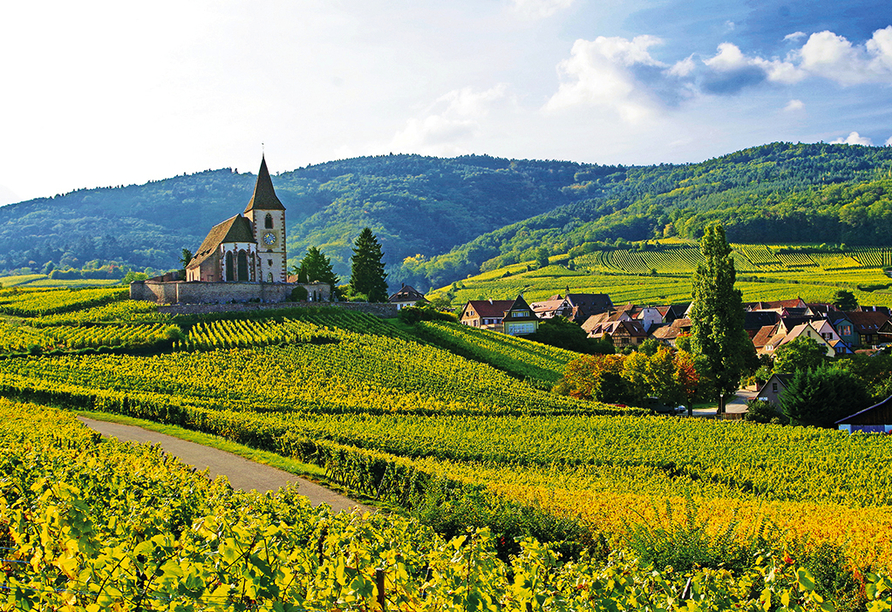 Erleben Sie das romantische Elsass hautnah.