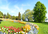 Die Blütenpracht der Insel Mainau im Bodensee sollte jeder einmal gesehen haben.