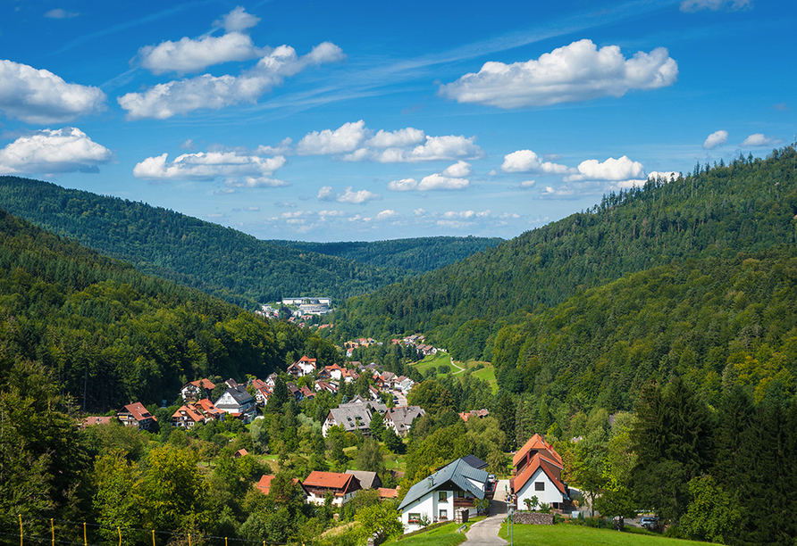 Umgeben von tiefen Wäldern begrüßt Sie Ihr Urlaubsort Bad Herrenalb.